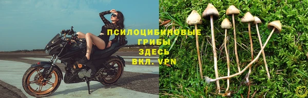 амф Лиски